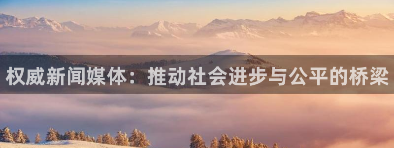 权威新闻媒体：推动社会进步与公平的桥梁