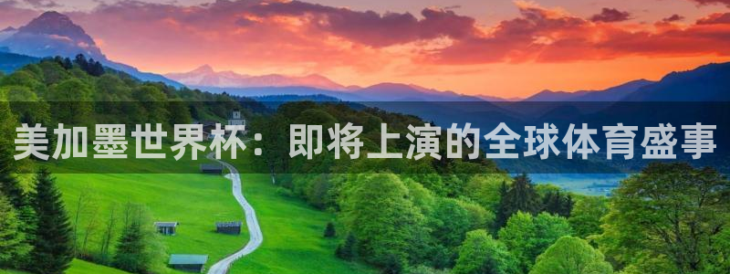 美加墨世界杯：即将上演的全球体育盛事