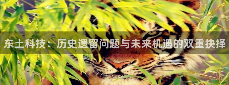 东土科技：历史遗留问题与未来机遇的双重抉择