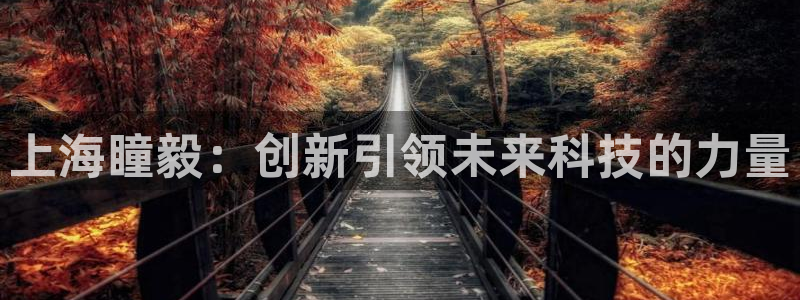 上海瞳毅：创新引领未来科技的力量