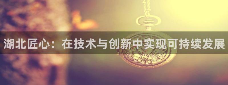 湖北匠心：在技术与创新中实现可持续发展