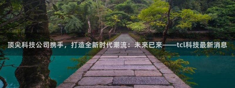 顶尖科技公司携手，打造全新时代潮流：未来已来——tcl科技最新消息