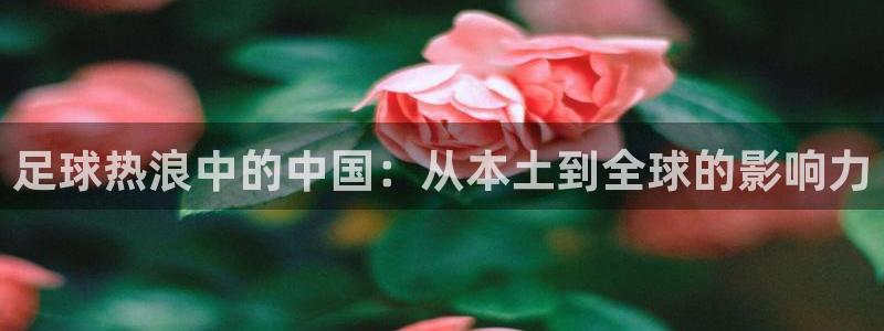 足球热浪中的中国：从本土到全球的影响力