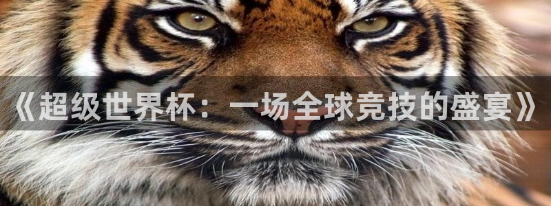 《超级世界杯：一场全球竞技的盛宴》