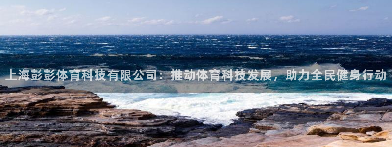 上海彭彭体育科技有限公司：推动体育科技发展，助力全民健身行动