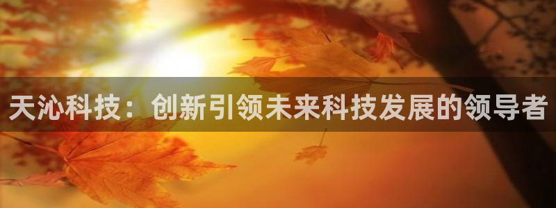 天沁科技：创新引领未来科技发展的领导者