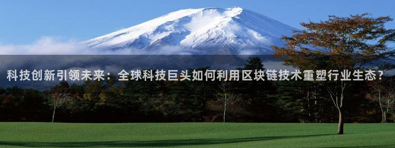 科技创新引领未来：全球科技巨头如何利用区块链技术重塑行业生态？