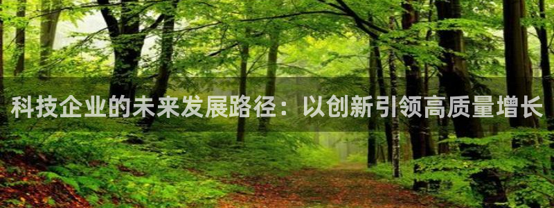科技企业的未来发展路径：以创新引领高质量增长