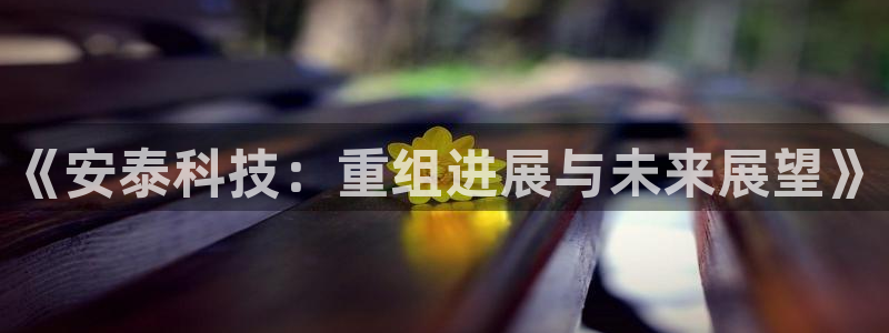 《安泰科技：重组进展与未来展望》