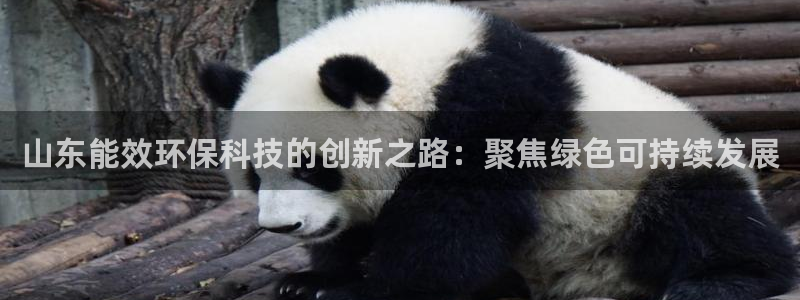山东能效环保科技的创新之路：聚焦绿色可持续发展
