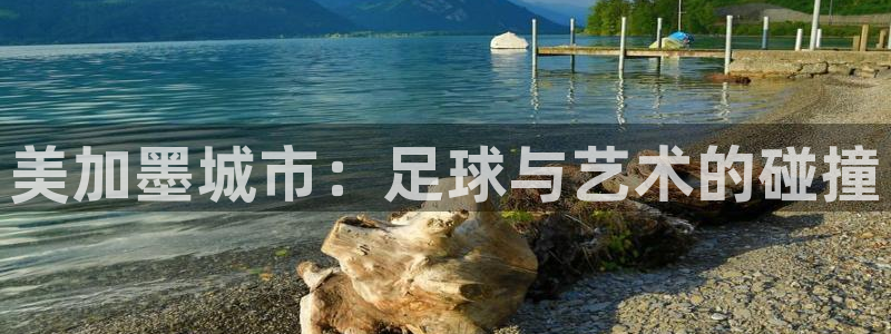 美加墨城市：足球与艺术的碰撞