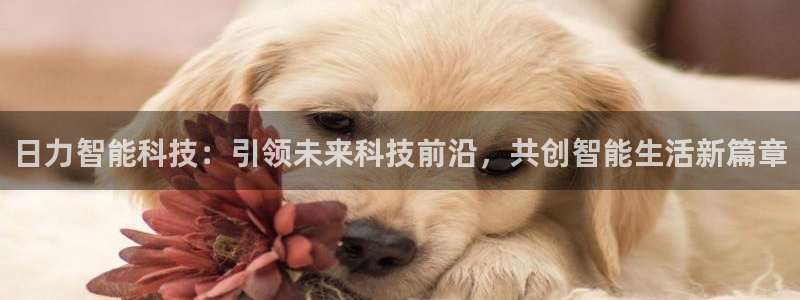日力智能科技：引领未来科技前沿，共创智能生活新篇章