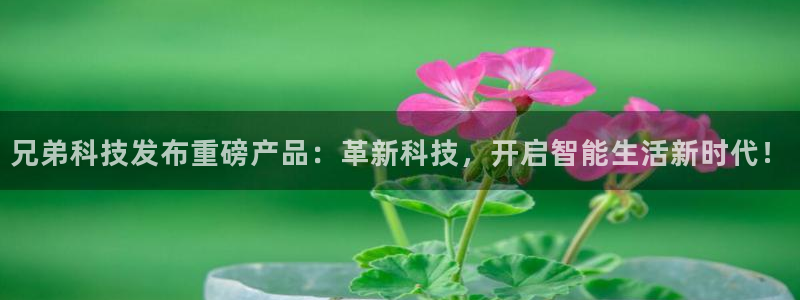兄弟科技发布重磅产品：革新科技，开启智能生活新时代！